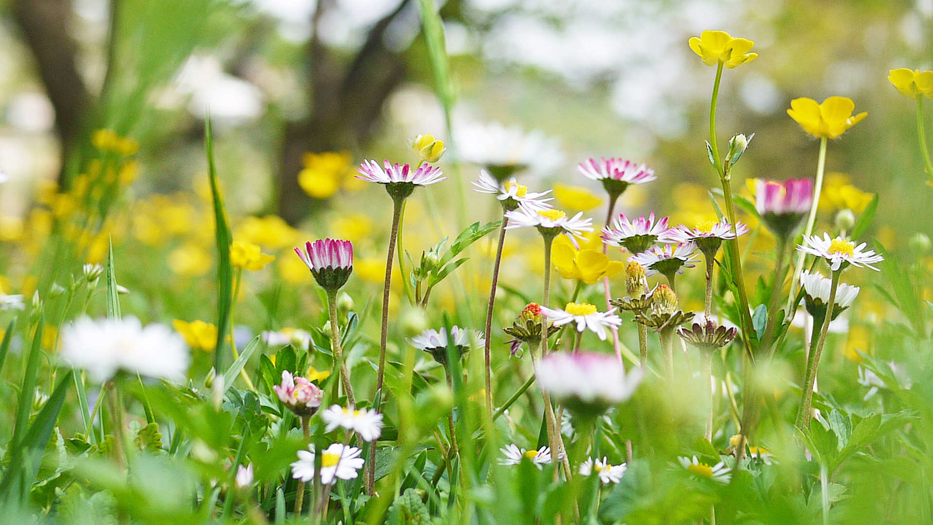 What is the spring equinox and is it