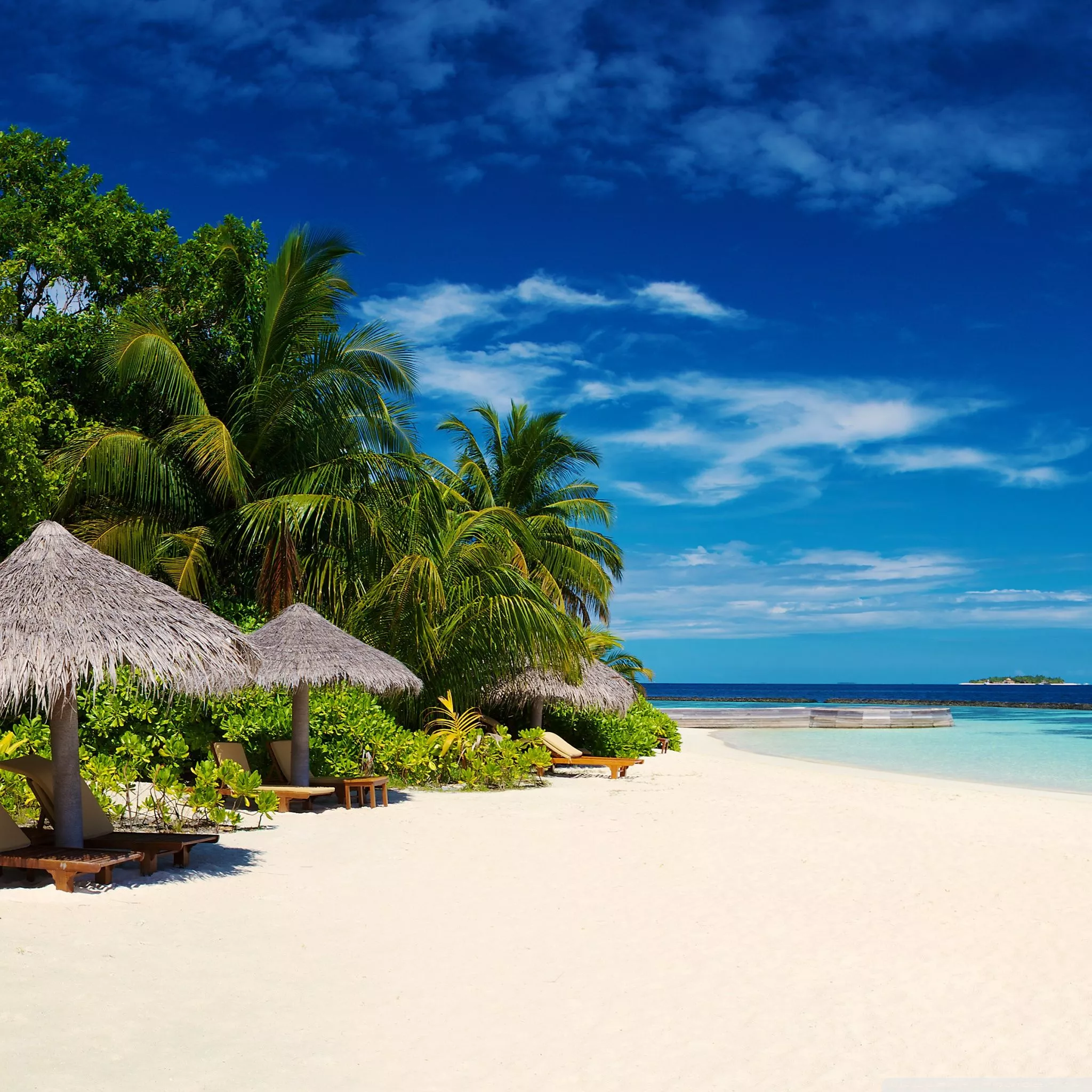 White Sand Beach, Summer, Holiday