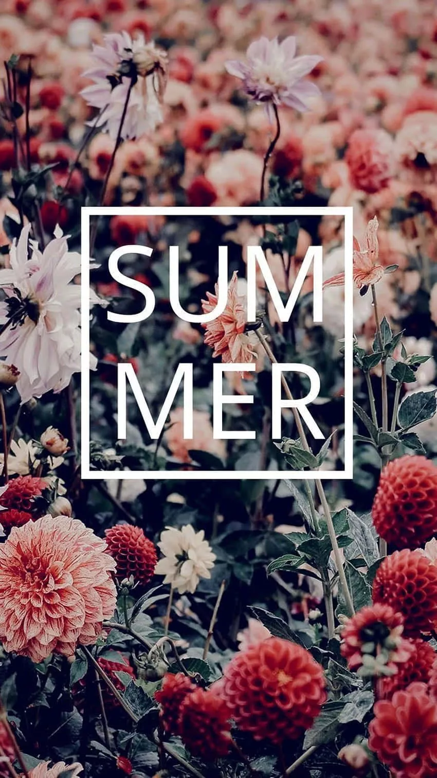 Preppy Summer Wallpaper
