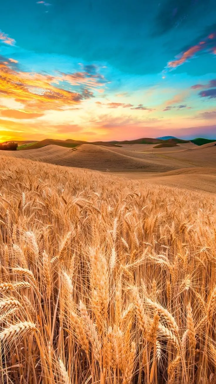 Background HD Wallpaper