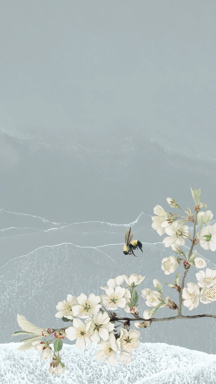 Hokusai iPhone wallpaper, mobile