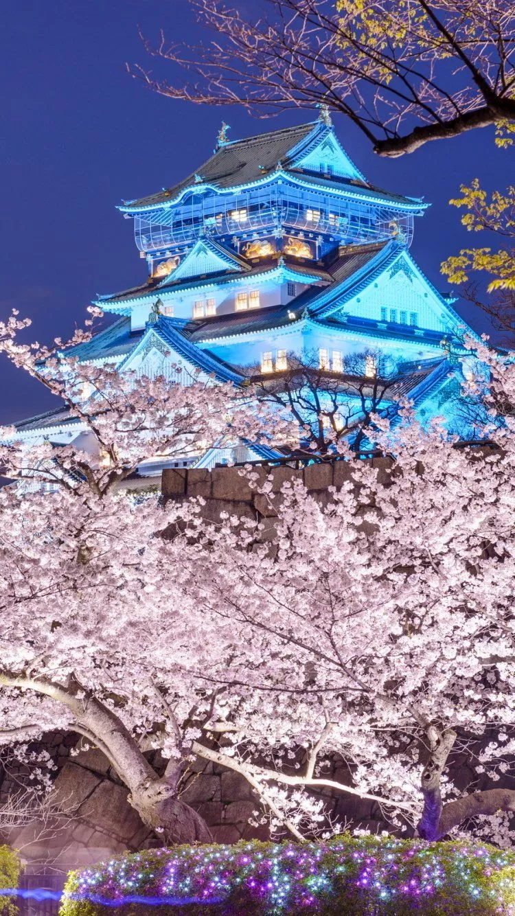 Made Osaka Castle Phone Wallpaper