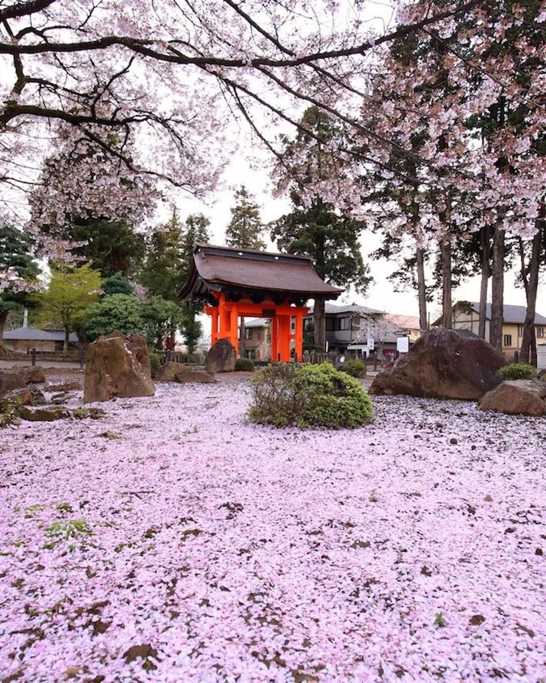 Erinji Travels, Japan