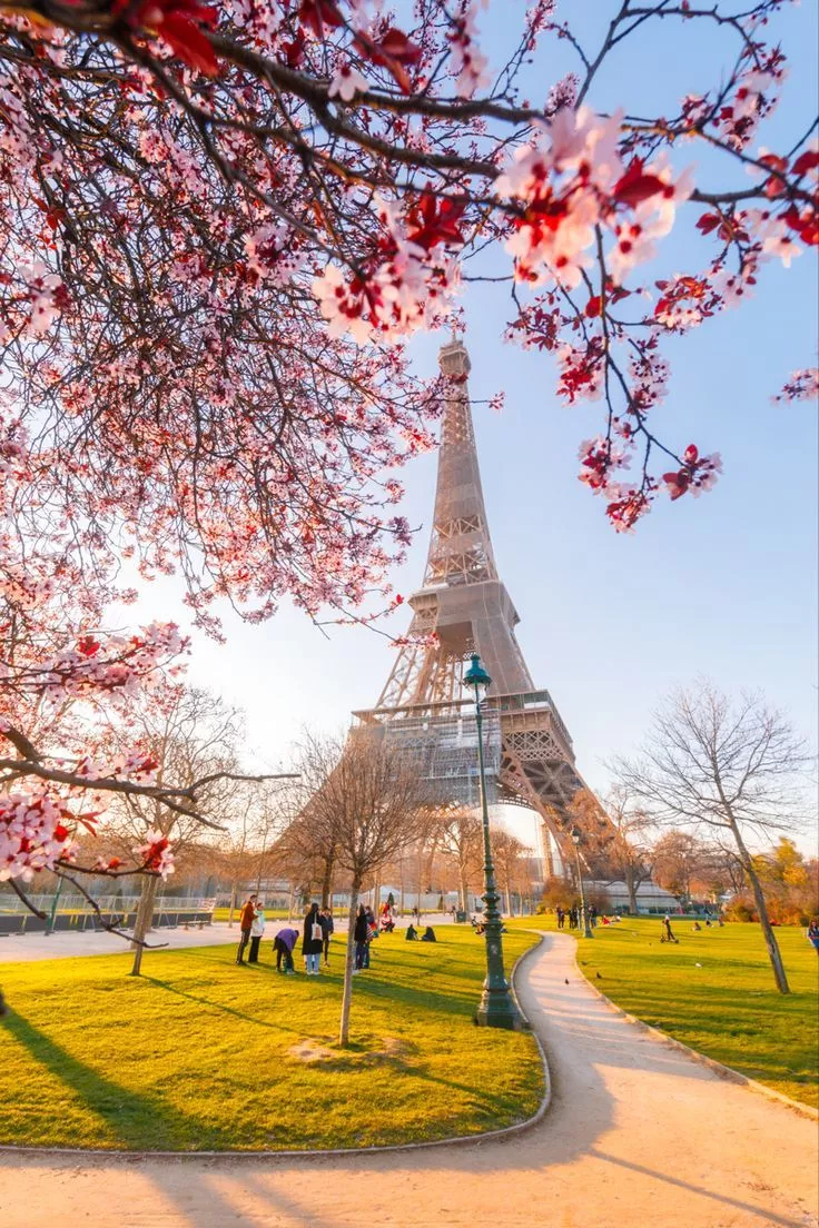 Spring has sprung in Paris!