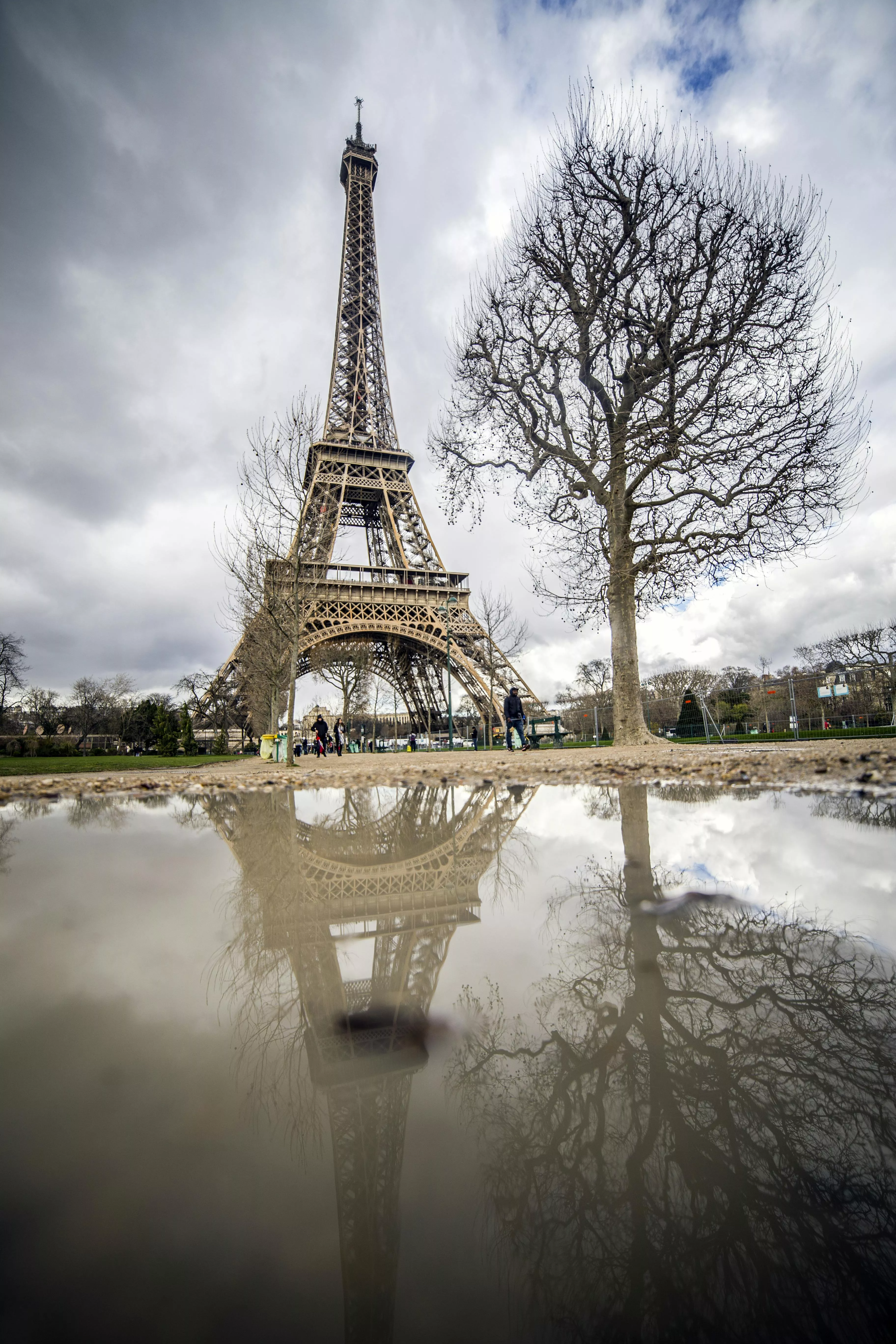 Eiffel tower in spring trees against