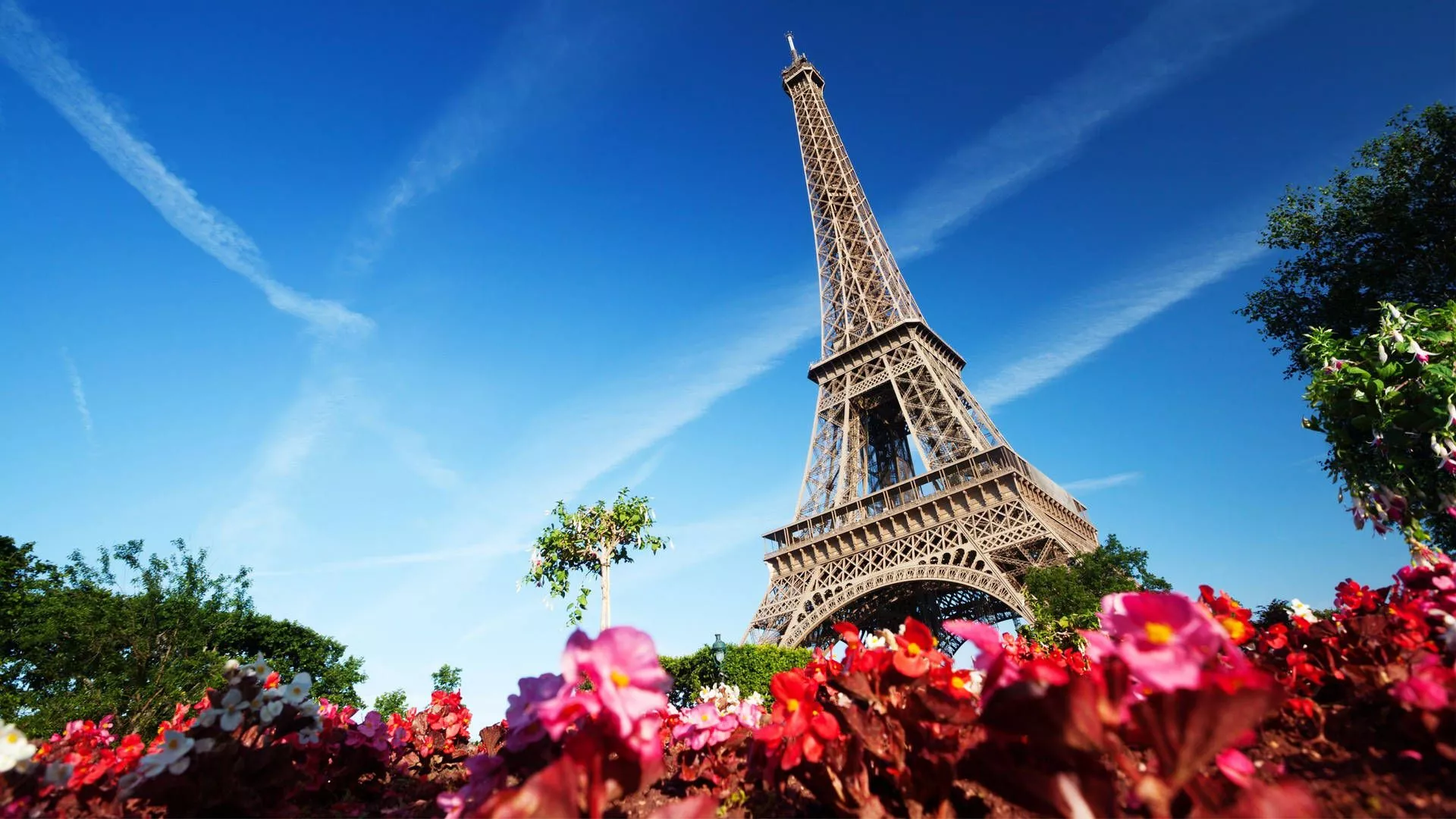 Flowers And The Beautiful Eiffel Tower