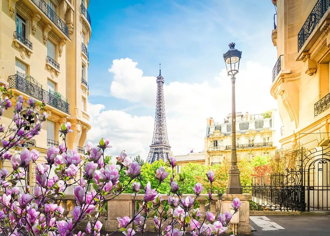 Loccor Fabric 15x10ft Eiffel Tower