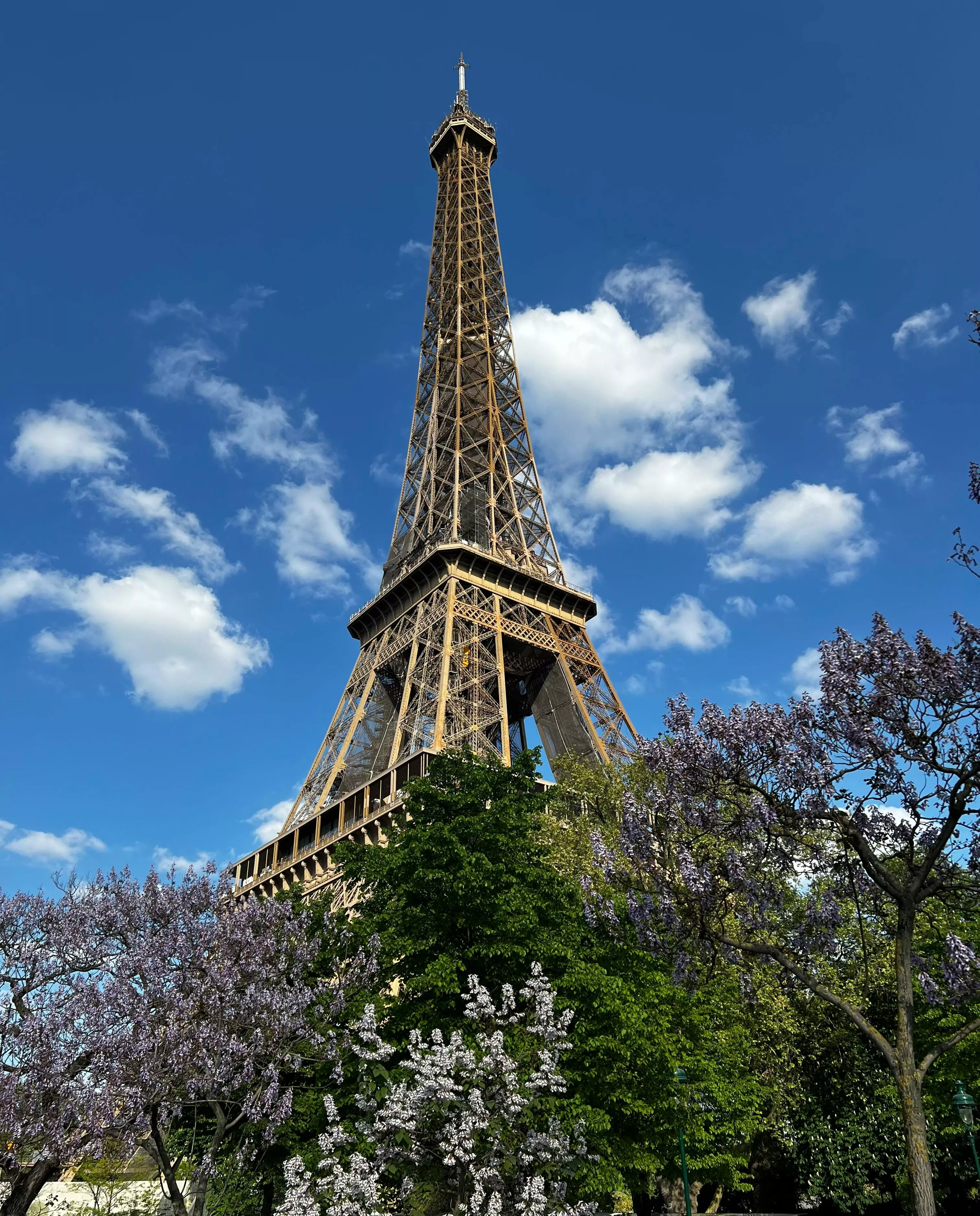 Photograph of the Eiffel Tower Under