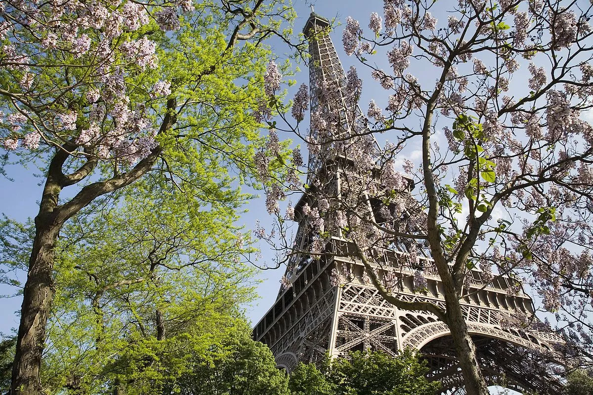 Eiffel Tower in