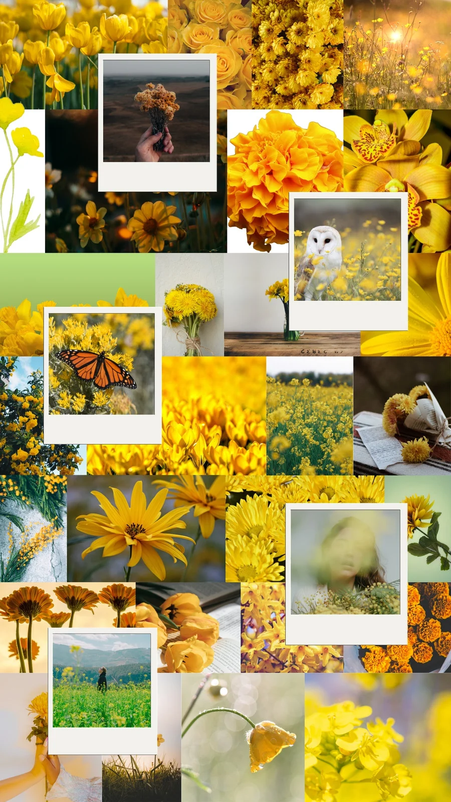 Free spring aesthetic phone wallpaper