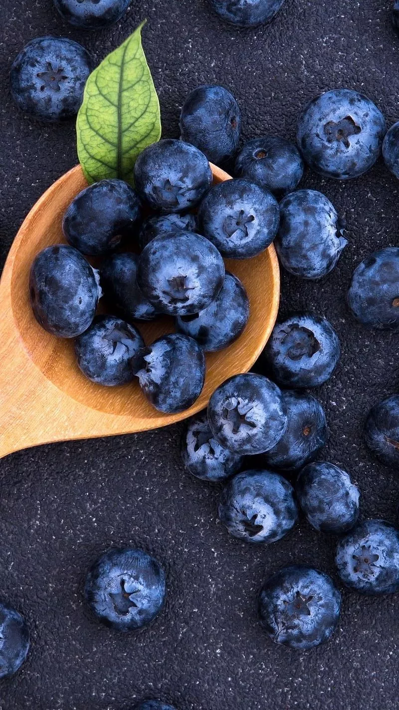 HD animated blueberry wallpaper