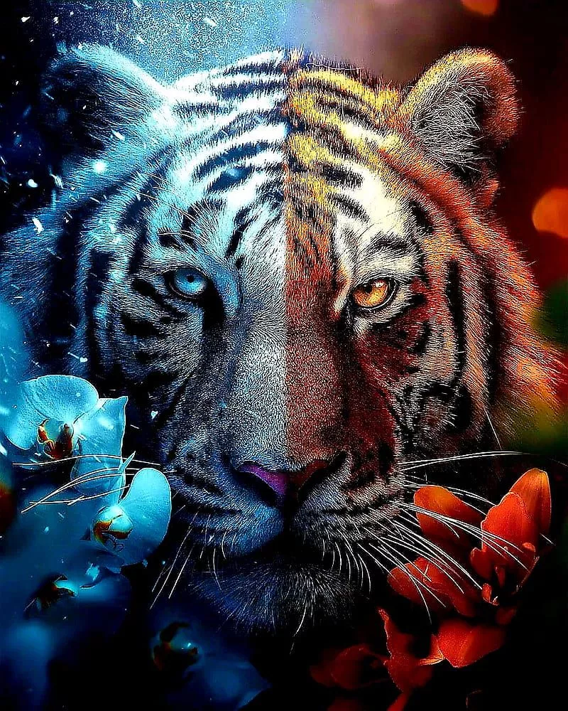 White tigers, animal, drawings, fantasy, HD phone wallpaper