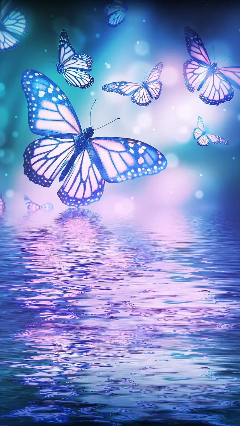 HD purple and blue butterfly wallpaper