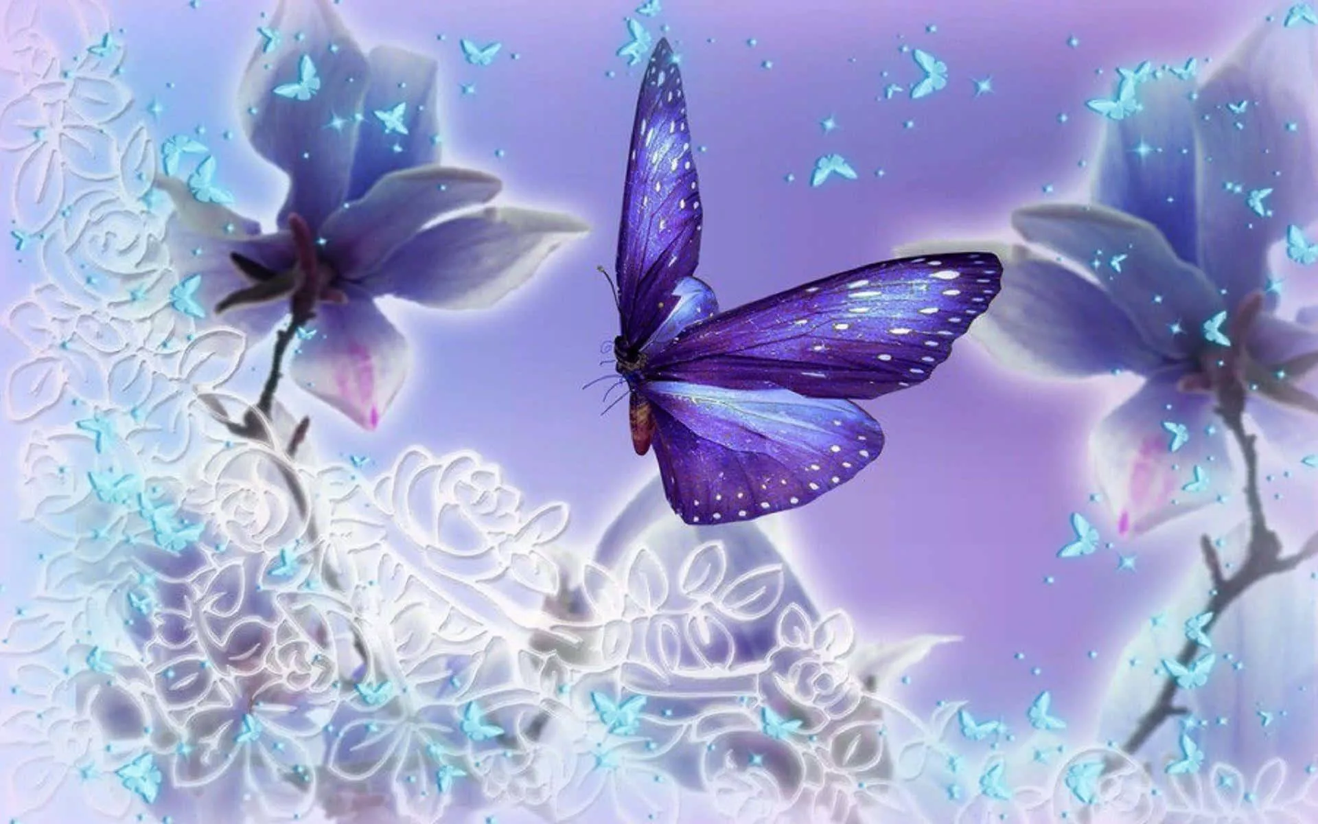 Download Purple Butterfly Background