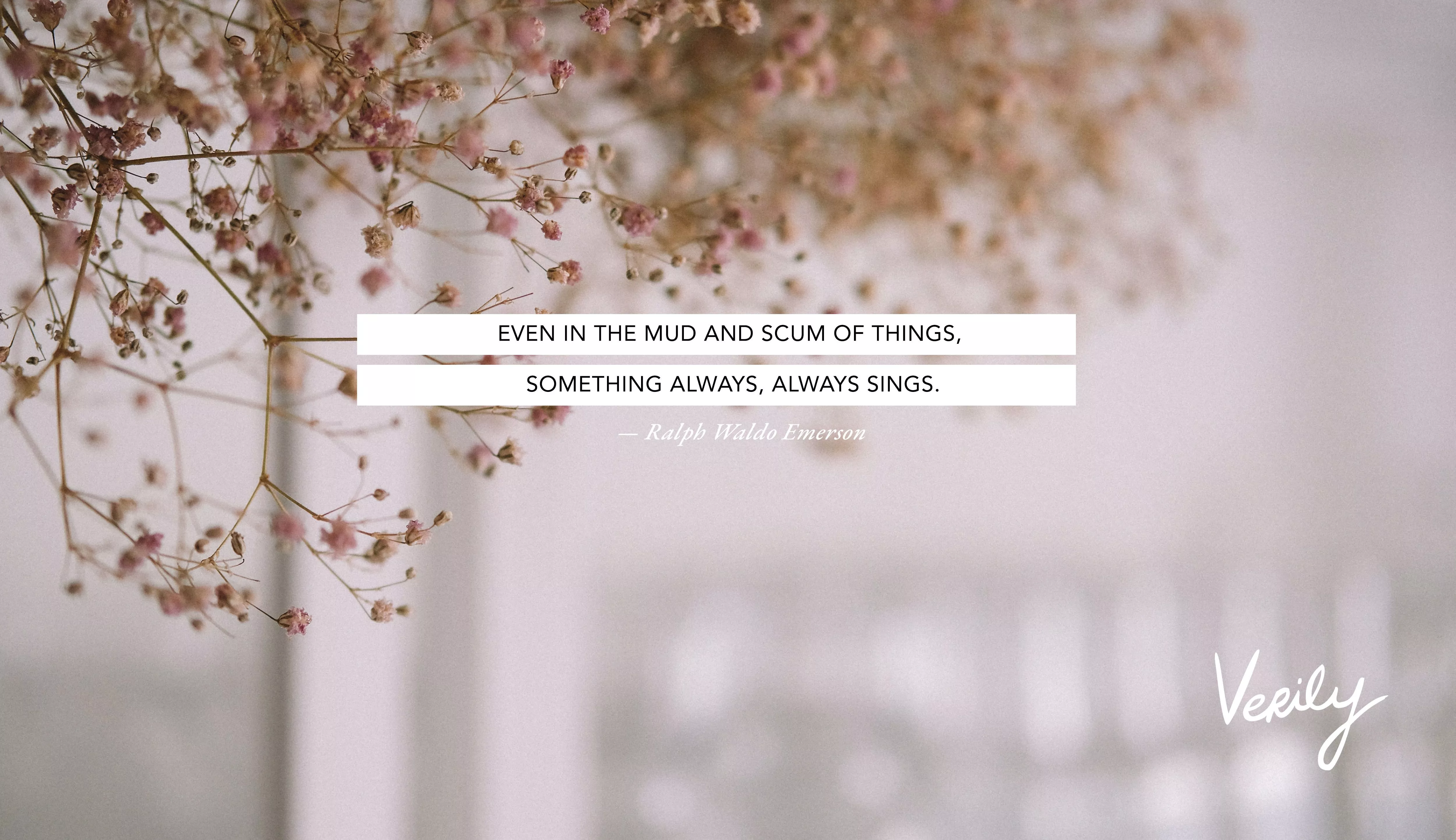 April 19 24, 2020 Daily Dose Wallpaper