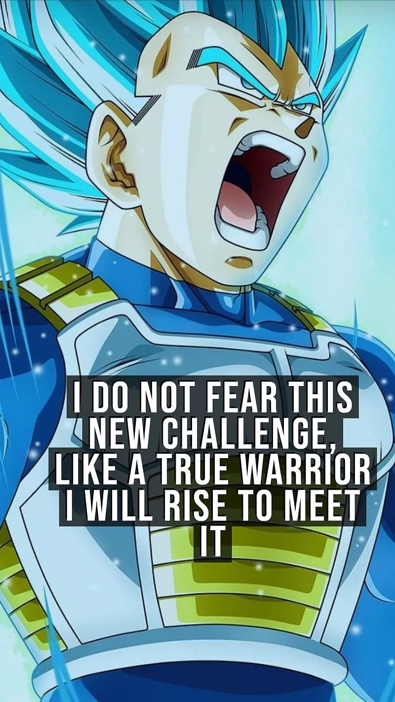 Vegeta, anime, dragon ball z, inspiration, motivation, pride, quotes, strength, HD phone wallpaper