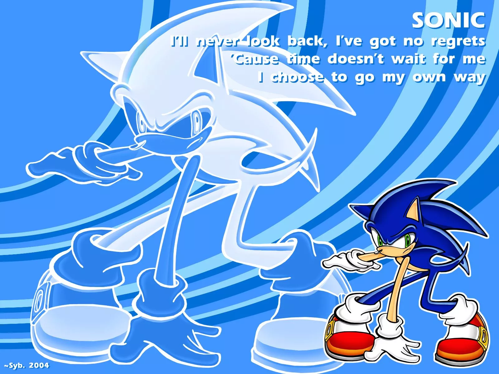 Sonic Adventure HD Wallpaper