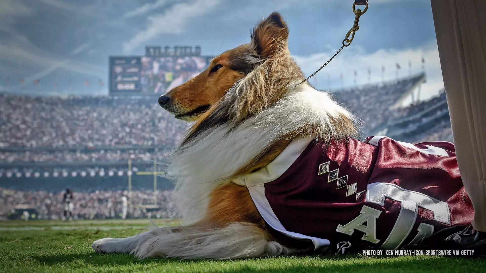 2024 Texas A&M Aggie Football