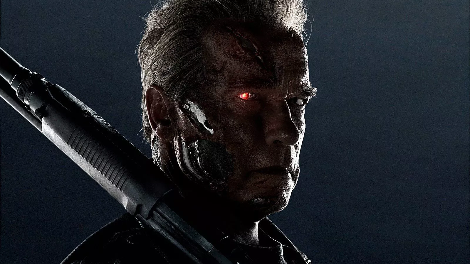 Arnold Terminator Genisys HD Wallpaper