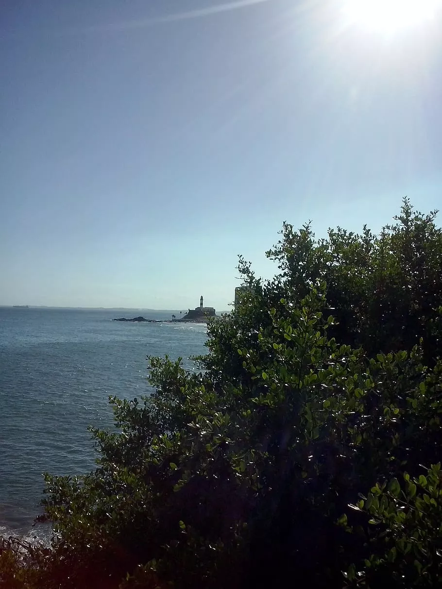 brazil, farol da barra, salvador, beach