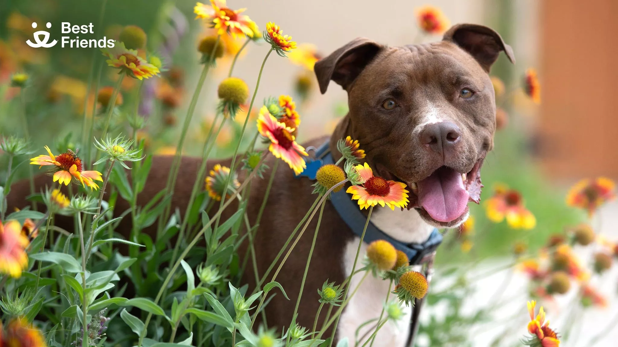 Calendar 26 Wallpaper. Best Friends