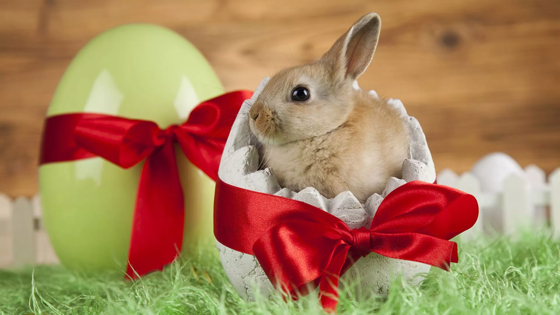 Wallpaper Easter Rabbits Cubs Eggs bow