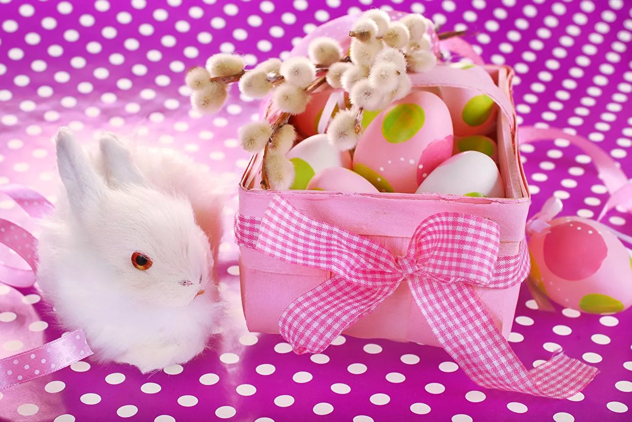 Photos Easter Rabbits Eggs Box Bowknot