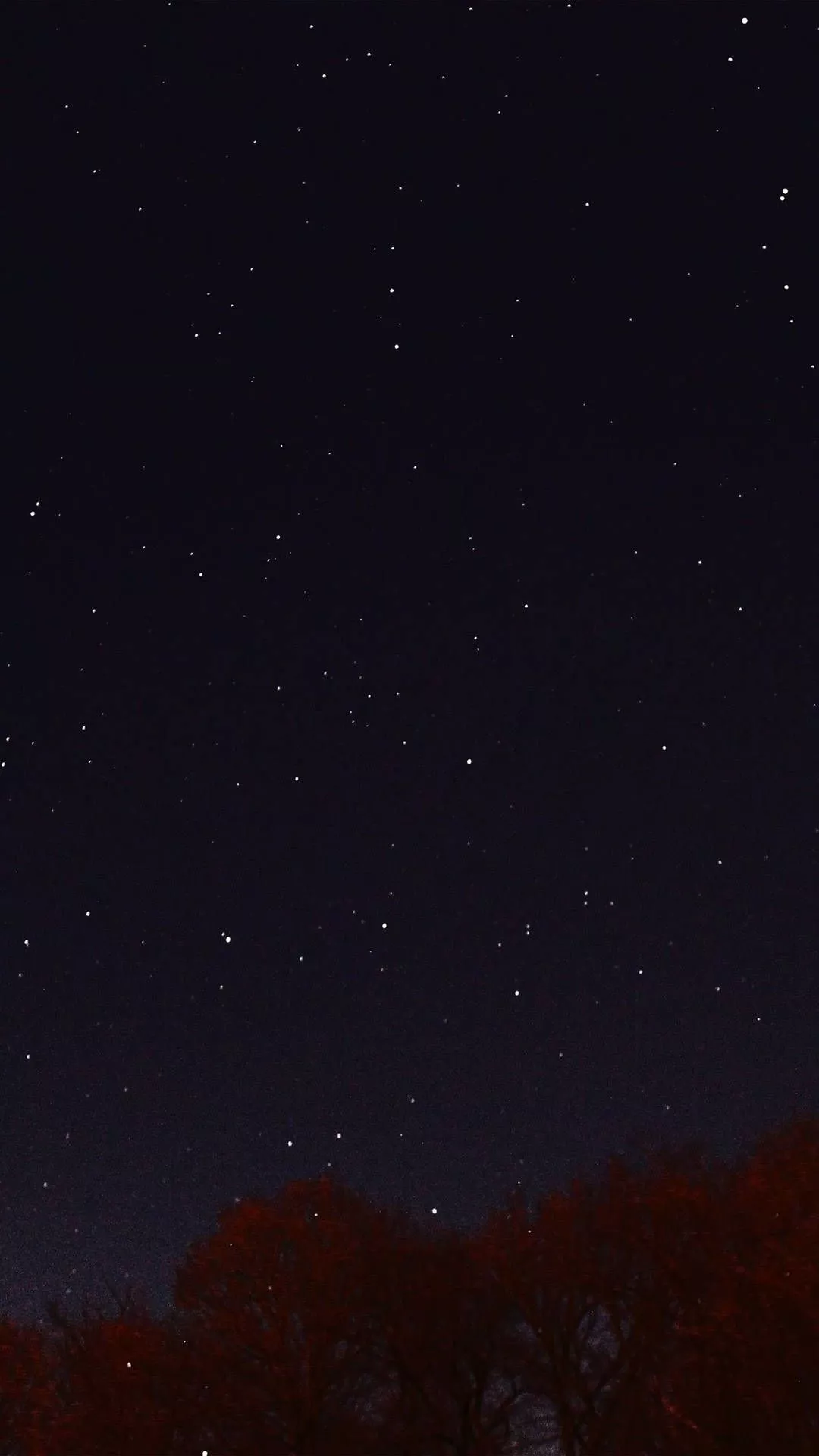 Night Sky Dark Star Lights Tree Nature