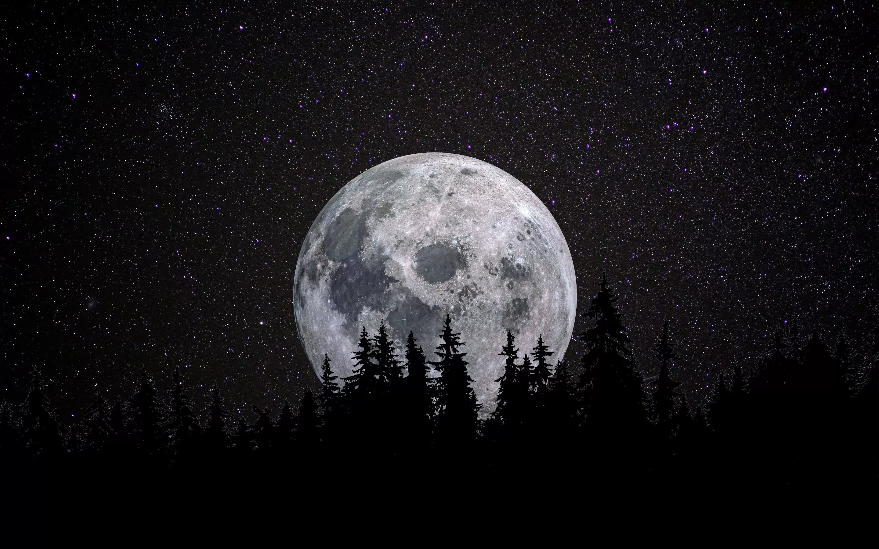 Full moon Wallpaper 4K, Forest, Night