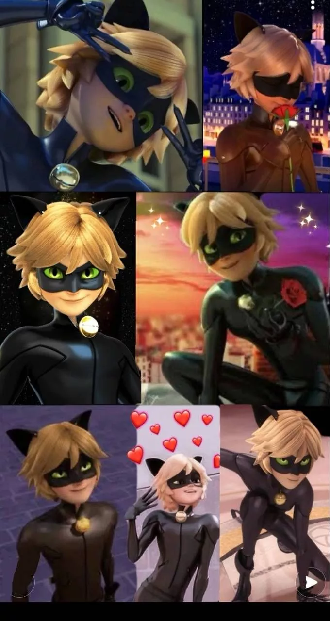 Cat Noir Collage