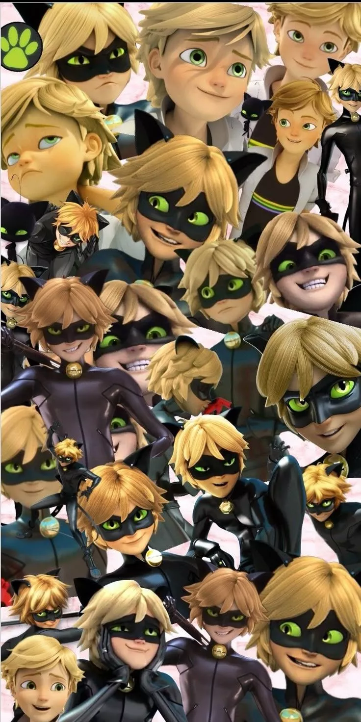 chatnoir collage