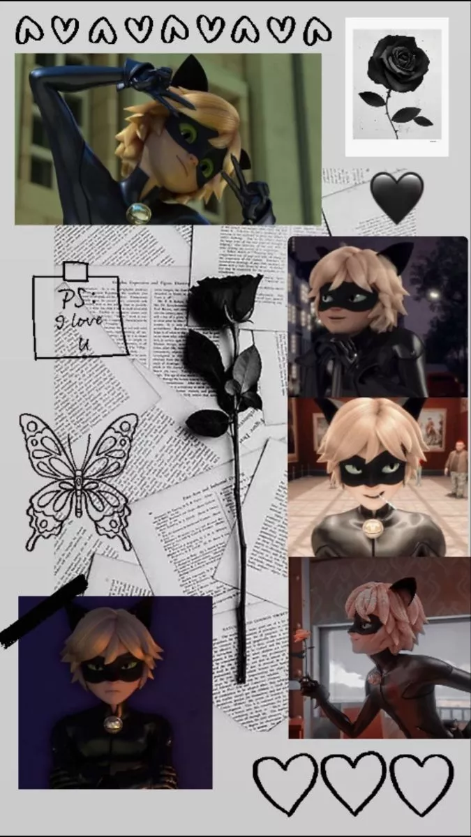 Cat Noir Collage
