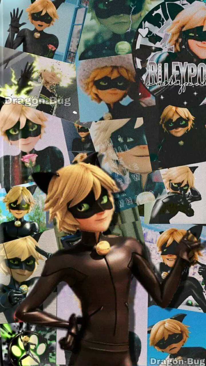 Cat Noir Wallpaper. Fotos de cat noir