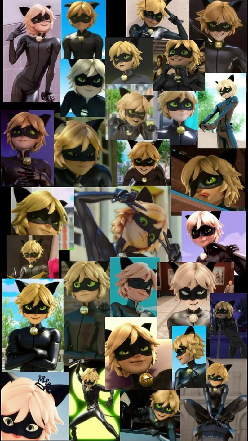 HD ladybug and chat noir wallpaper