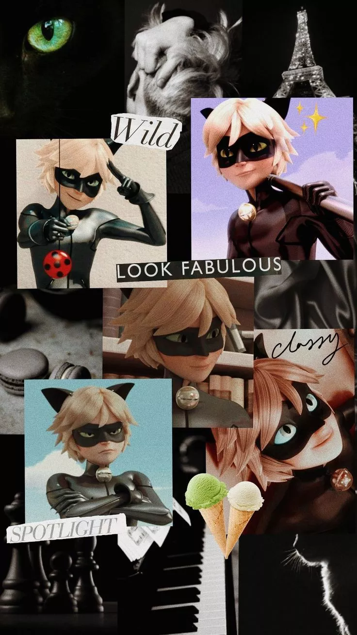 Chat Noir Wallpaper