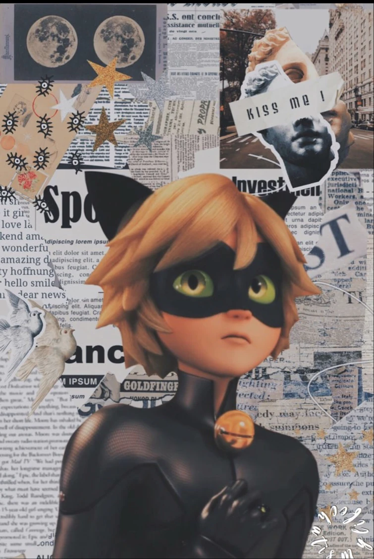 Some Miraculous ladybug wallpaper I