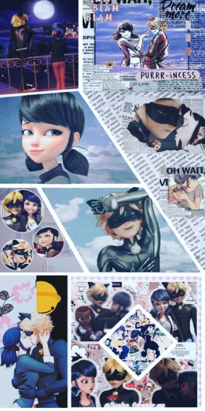 Marichat, cat noir, chat noir, maricat