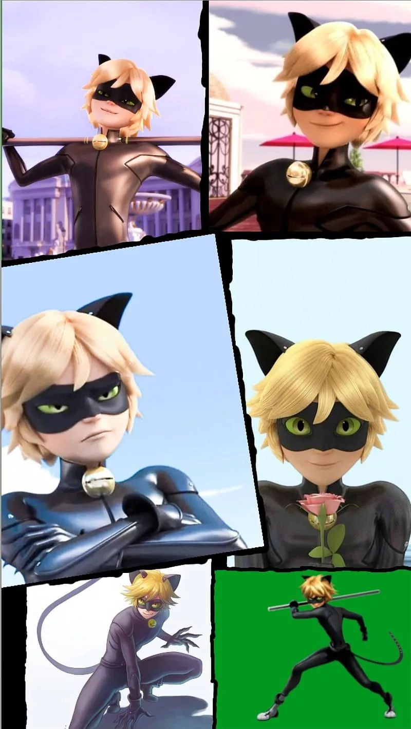 Cat noir pics, cat noir, chat noir