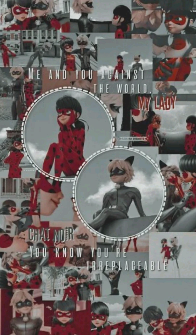 Miraculous wallpaper day 4