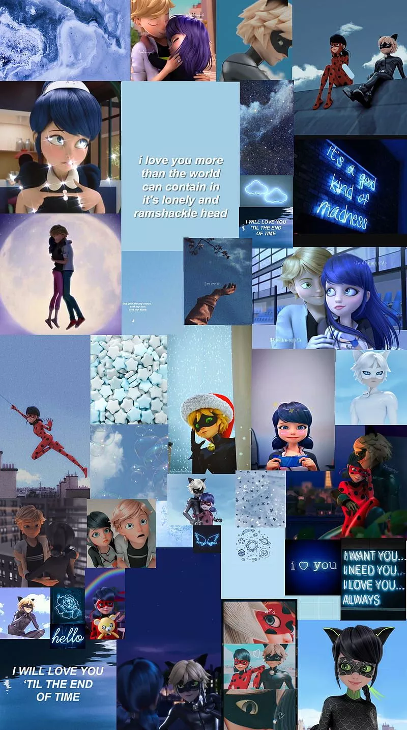 HD catnoir wallpaper