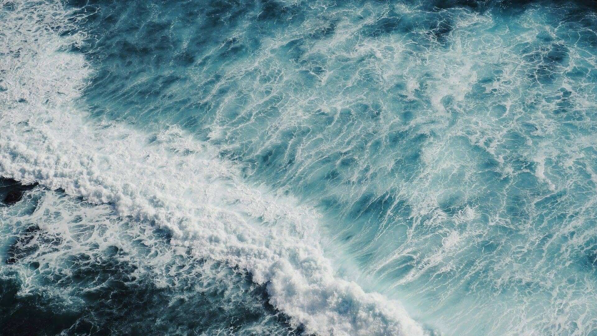 Training School on Sustainability