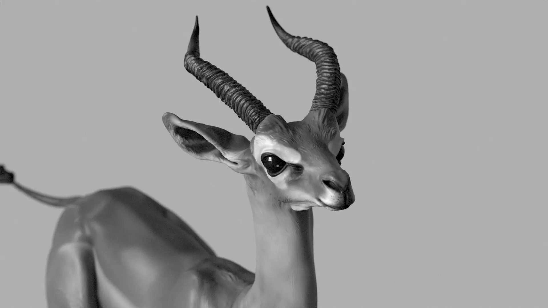 Gerenuk anatomy study