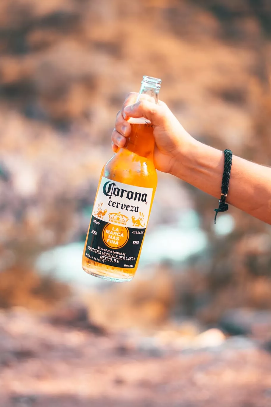 HD wallpaper: Corona Cerveza, human