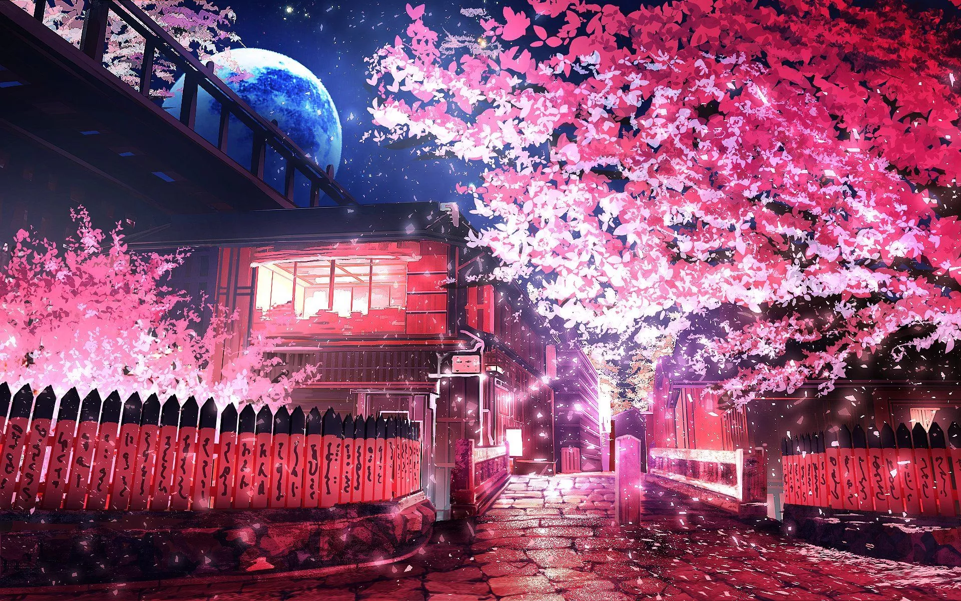 Spring Sakura Night Moon HD Wallpaper