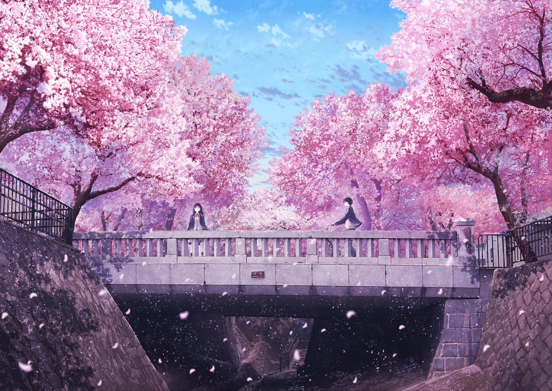 Sakura Blossom Love Spring HD