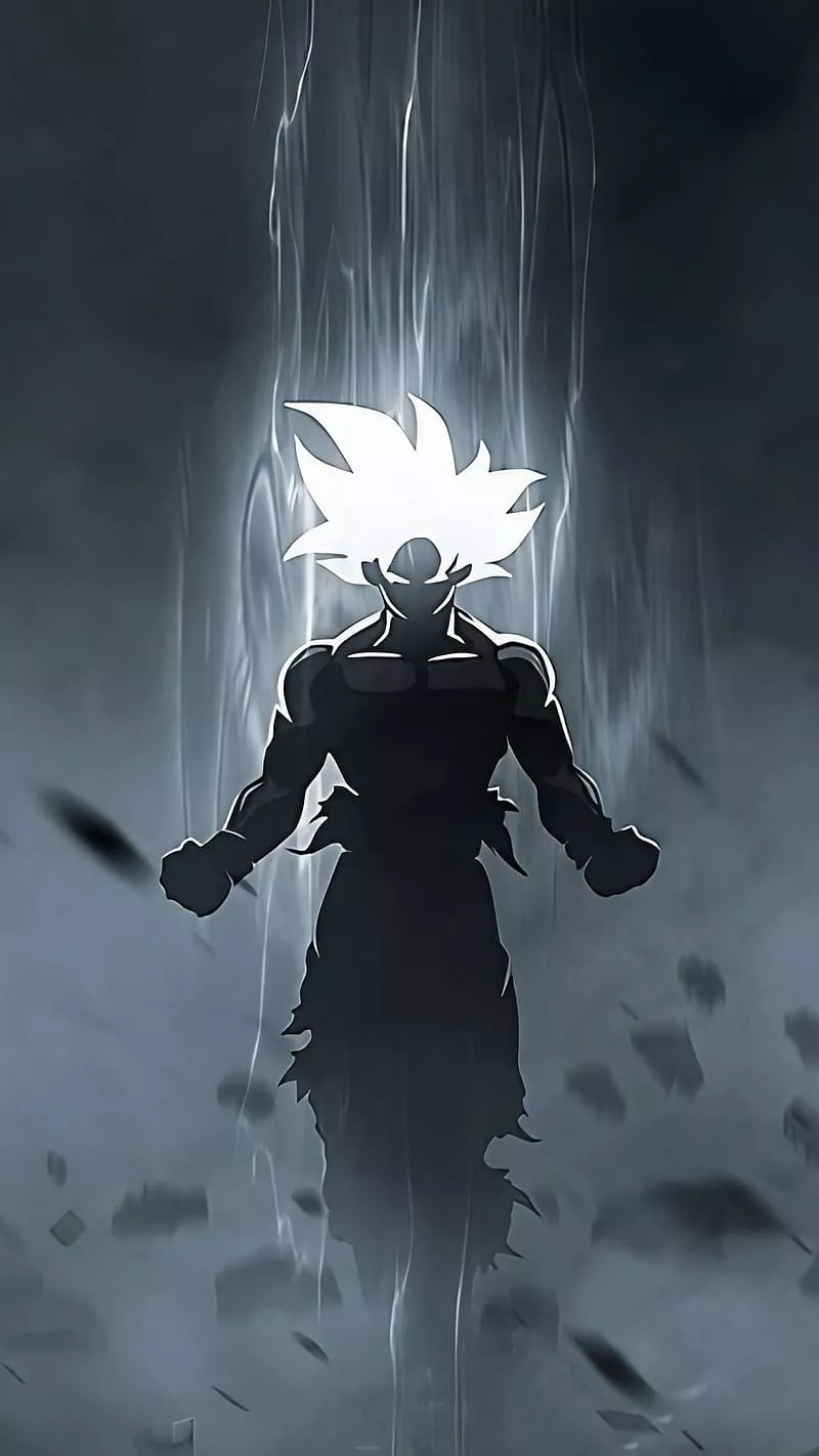 Dragon Ball Super, Black Art, animation, goku, HD phone wallpaper