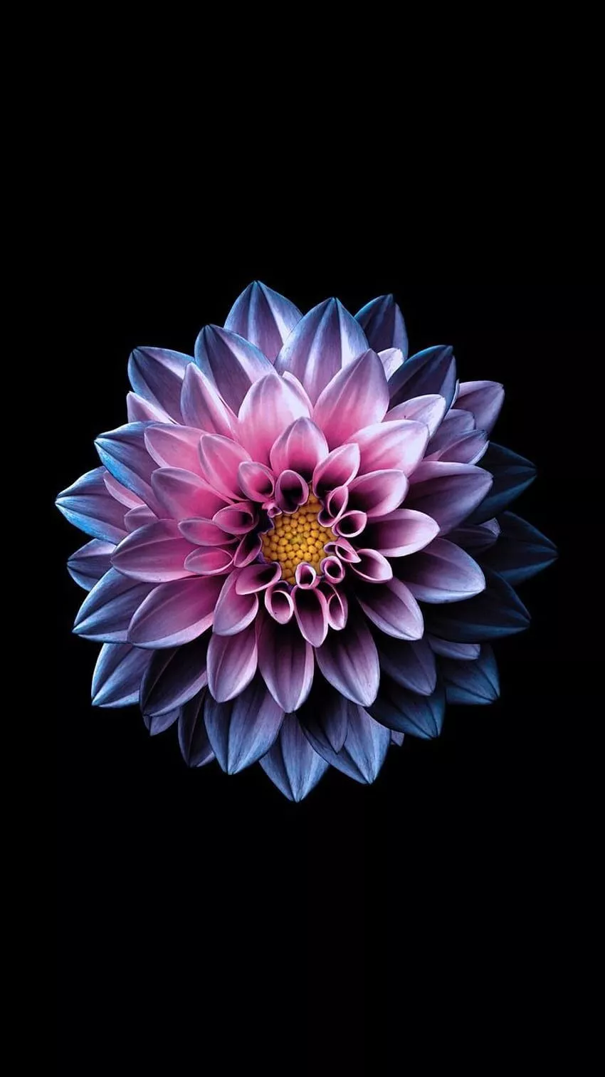 Flower iPad, Flower of Life iPhone HD phone wallpaper