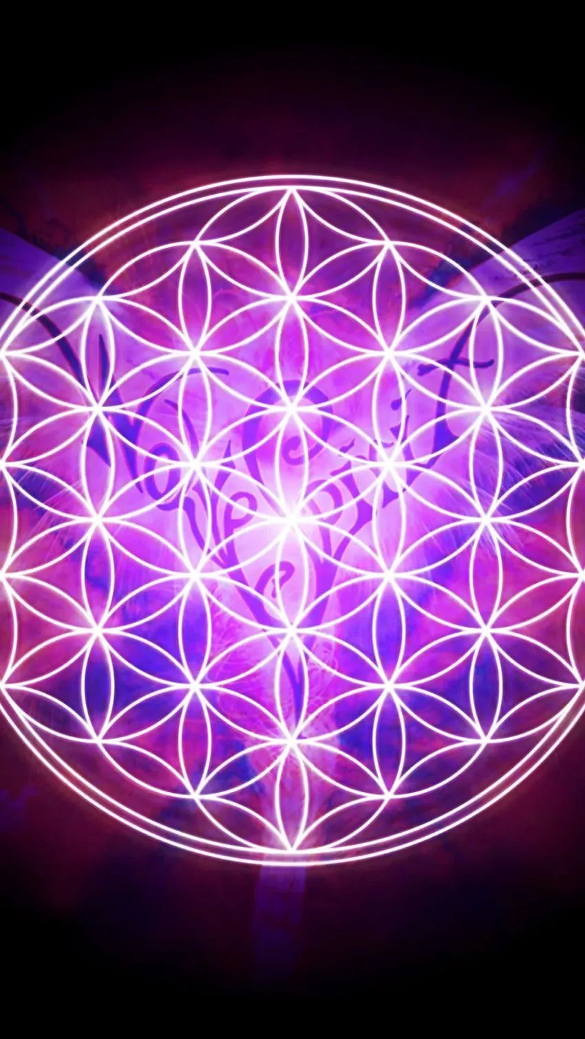 iPhone HD phone wallpaper