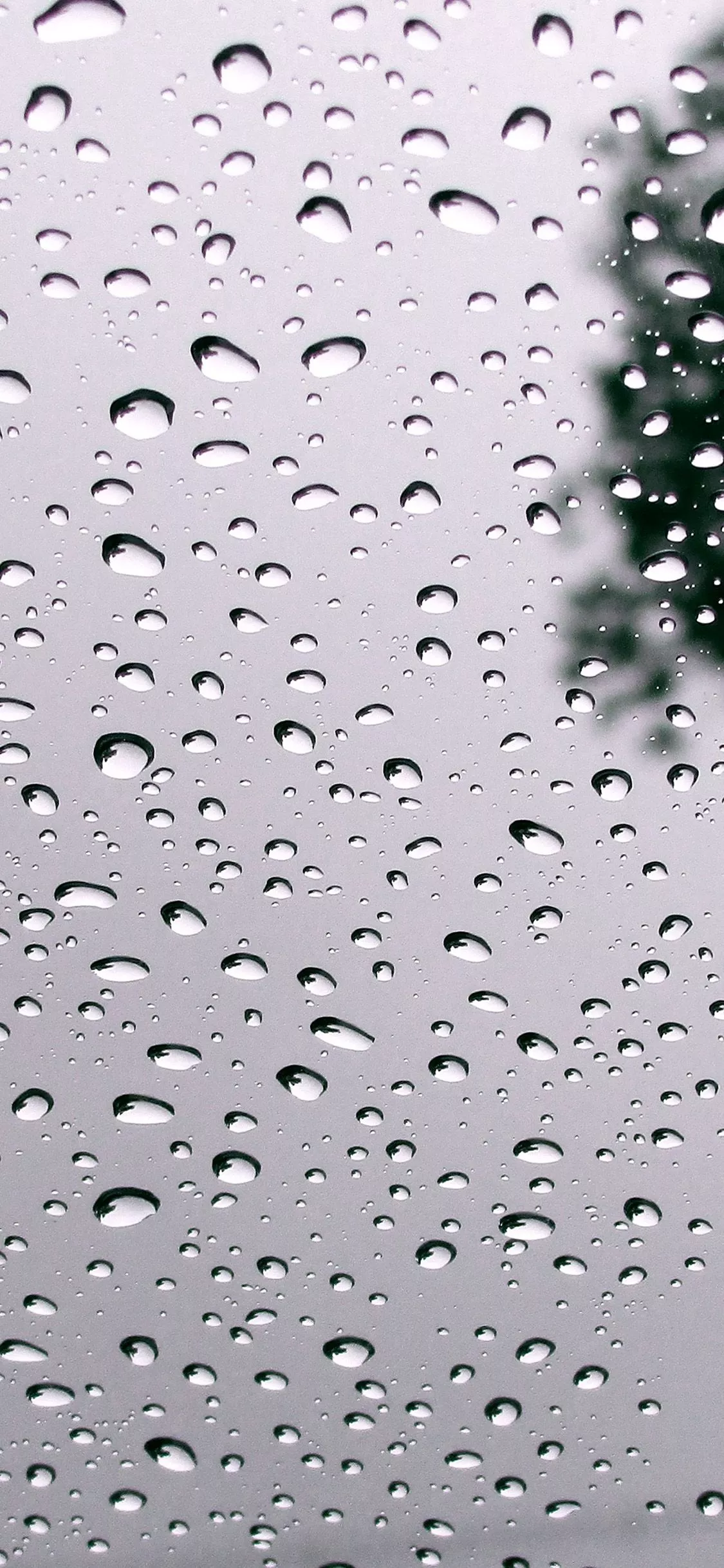 Rain Drop Cold Pattern Background