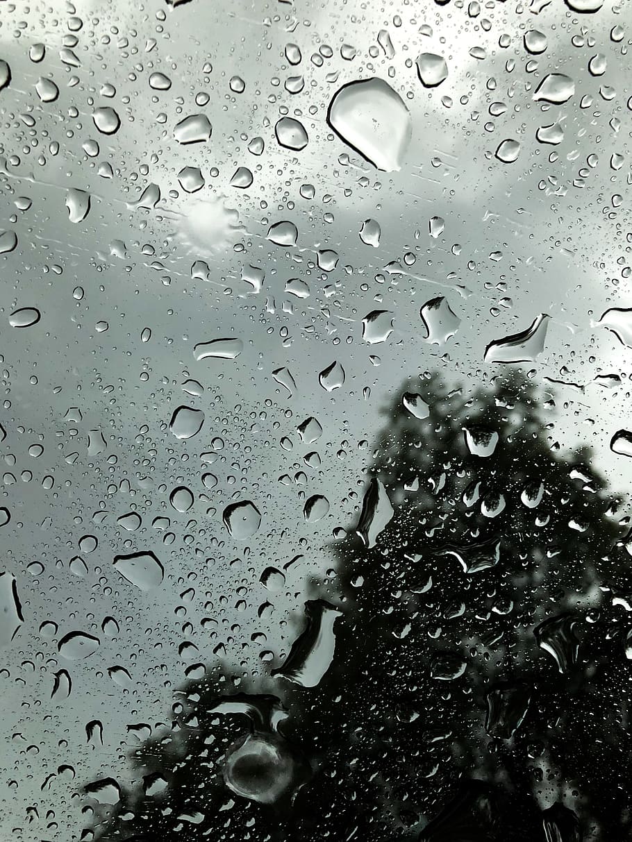 HD wallpaper: mexico, mexico city, rain